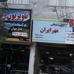 تلوزیون