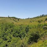 اقامتگاه بومگردی بارانک