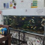 کبابی قائم