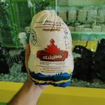 مرغ كاكل زري