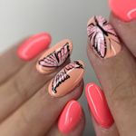 سالن زیبایی داهی (آسو سابق)