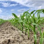 کاروانسرای فرامرز خان