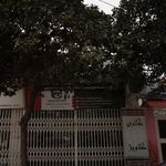 سرخدار