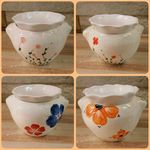 فروشگاه بنفشه آفریقایی ویولا