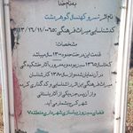 سرو کهنسال گوهردشت