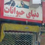 دنیای حیوانات