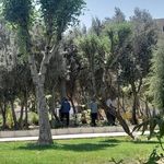 بوستان شهید جعفری