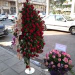 گلفروشی آنلاین مادر