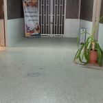 دانشگاه پیام نور رفسنجان