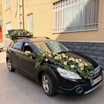 خدمات مجالس کافعی