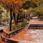 پارک جنگلی سرچشمه خوانسار