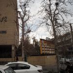 دکتر سید رضا میری