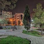 بوستان راغب اصفهانی جنوبی