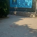 باشگاه بدنسازی کاراکو
