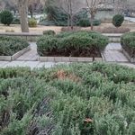 سرویس بهداشتی بوستان سبزه