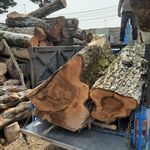 چوب بری و چوب فروشی فرخی