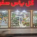گلفروشی یاس سفید