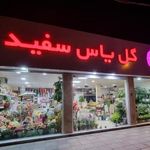 گلفروشی یاس سفید