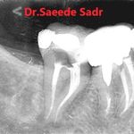 دکتر سعیده صدر