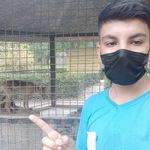 باغ پرندگان و باغ وحش هدهد مجتمع کوثر