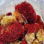 زعفران ممتاز ایرانی