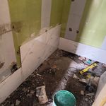 راضیه جنت ابادی