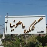 گلکده ماهونیا