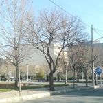 بوستان سنبله