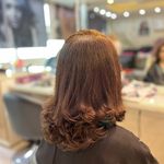 خدمات تخصصی رنگ و لایت و کوتاهی مو هستی