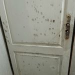 خدمات نقاشی ساختمان زارع