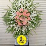 گل فروشی اینترنتی آمازون (مرزداران)