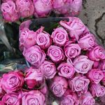 گل فروشی اینترنتی آمازون (مرزداران)