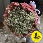 گل فروشی اینترنتی آمازون (مرزداران)