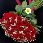 گل فروشی اینترنتی آمازون (مرزداران)