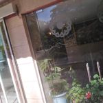 خوابگاه بهزیستی تجریش
