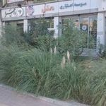 موسسه مالی و اعتباری ملل شعبه شهران کد ۱۷۲۵