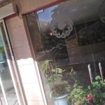 خوابگاه بهزیستی تجریش