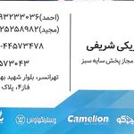 الکتریکی بیات