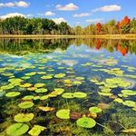 مجتمع تفریحی آفتاب چغاخور پتروشیمی