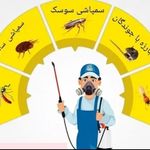 شرکت سمپاشی نوین پاک