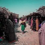 پنجشنبه بازار میناب