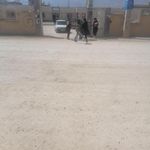 بهداشت کرونی