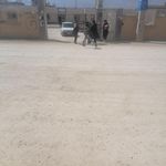 بهداشت کرونی