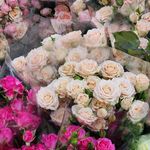 گل فروشی اینترنتی آمازون (کاشانی)