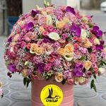 گل فروشی اینترنتی آمازون (کاشانی)