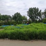 فضای سبز سر پیچ ساحل قو