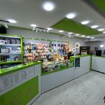 زیتون سبر