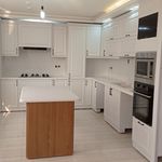 علیرضا نصیری