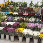 گل فروشی اتریش