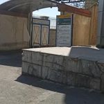 پلیس راهنمایی و رانندگی